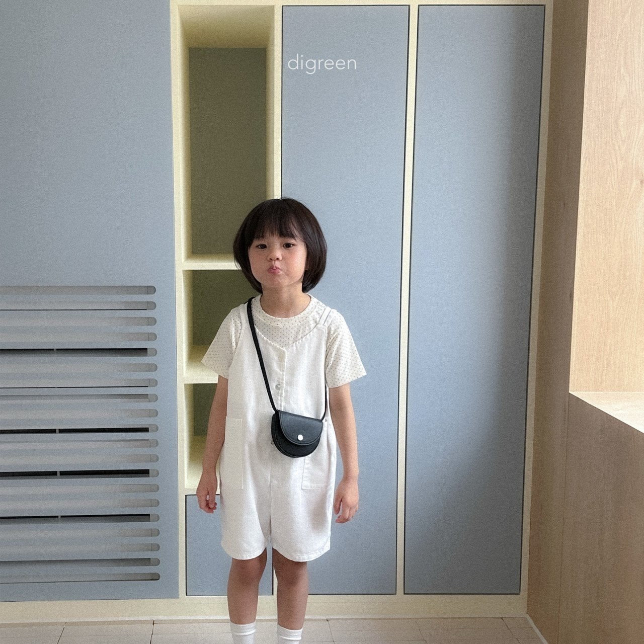 digreen buddy bag