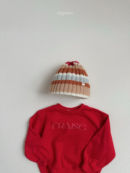digreen multi beanie