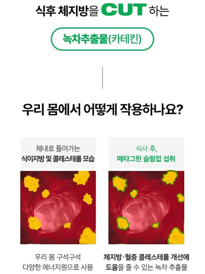 Vitalbeautie 純植物材提取阻斷油脂纖體綠茶片💚 ｜60片+送10片裝