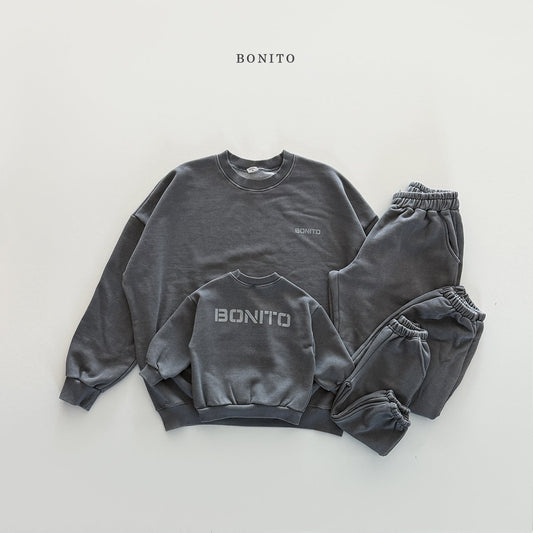 bonito pigment set(adult)