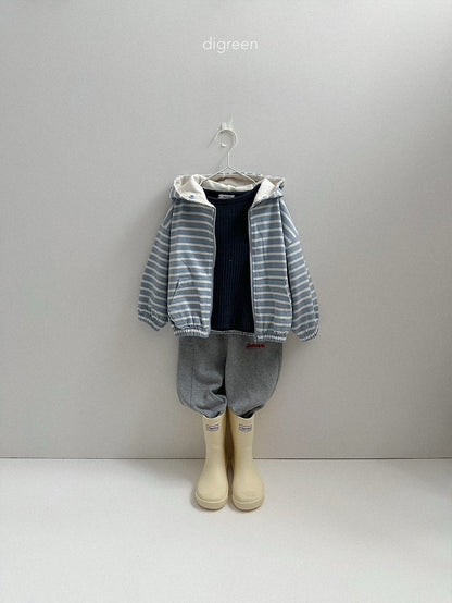 digreen candy hood zip up (85-130cm)
