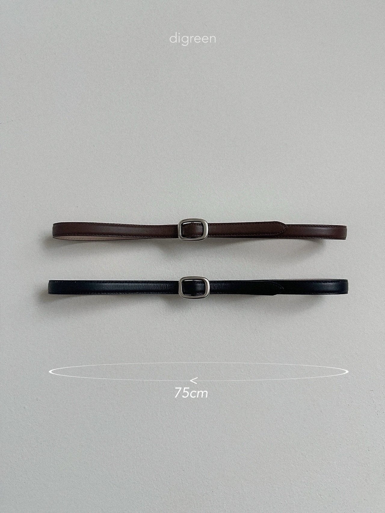 digreen acorn belt
