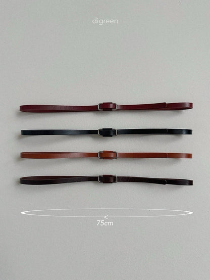 digreen square belt